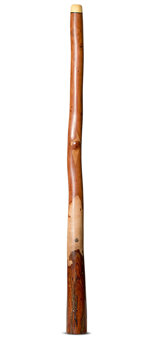 Wix Stix Didgeridoo (WS200)